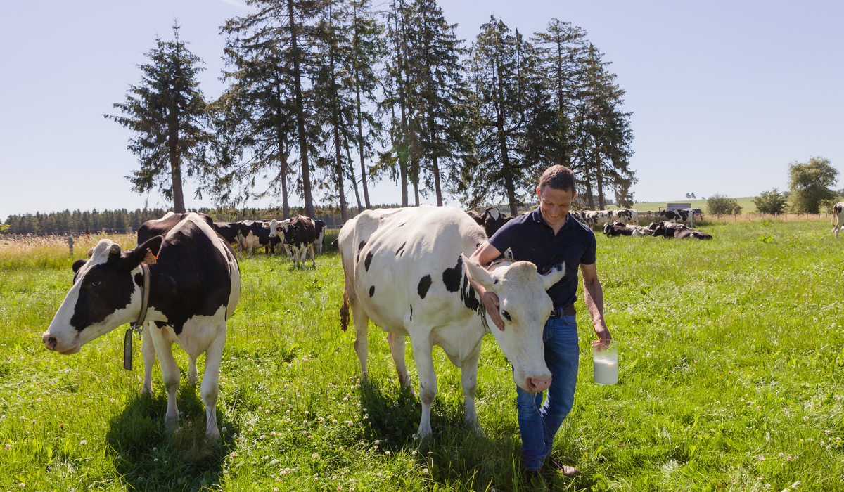 lait-filiere-qualite-carrefour-jean-louis-neuville.jpg