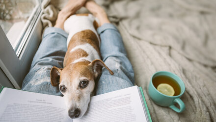 Moeten bedrijven met zieken straks meer betalen?