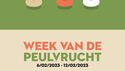 Een boon voor de boon