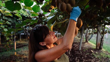Sterke groeivooruitzichten voor Zespri