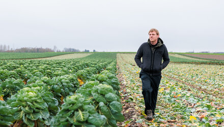 Spruitjes van Brussel
