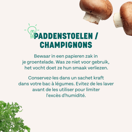 Mushrooms_Howtostoreveggies_1080x1350_BE_5.png