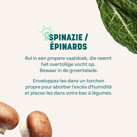 spinach-howtostoreveggies-1080x1350-be-3.png