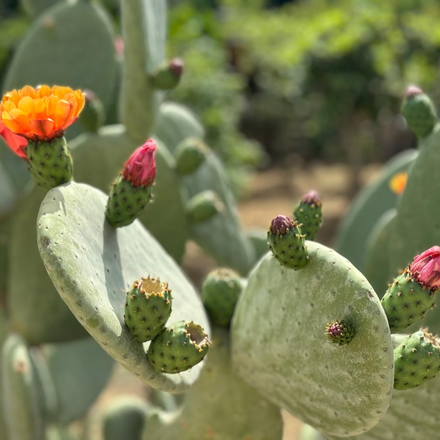 1bbad05b-134b-42e4-9e22-67e387e23a40.jpg
