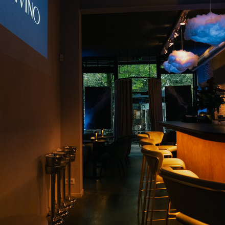 Aldivino X100Vi-1-2.jpg