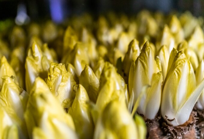 2021: jaar van groenten en fruit