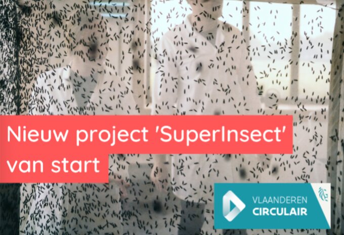 SuperInsect