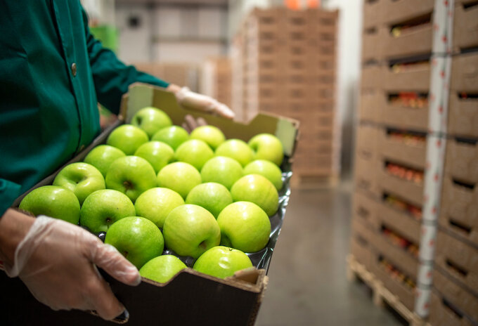 Online verswinkel breidt uit naar de Kempen