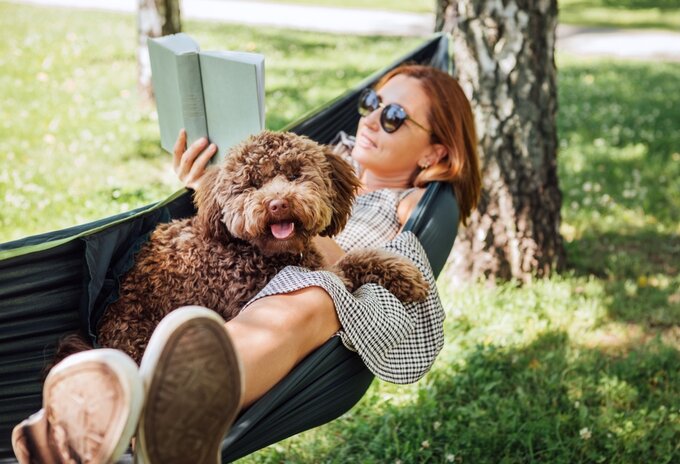 Zomerse leestips