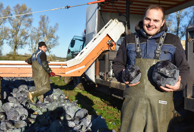 De strengste controles, het duurzaamste aanbod