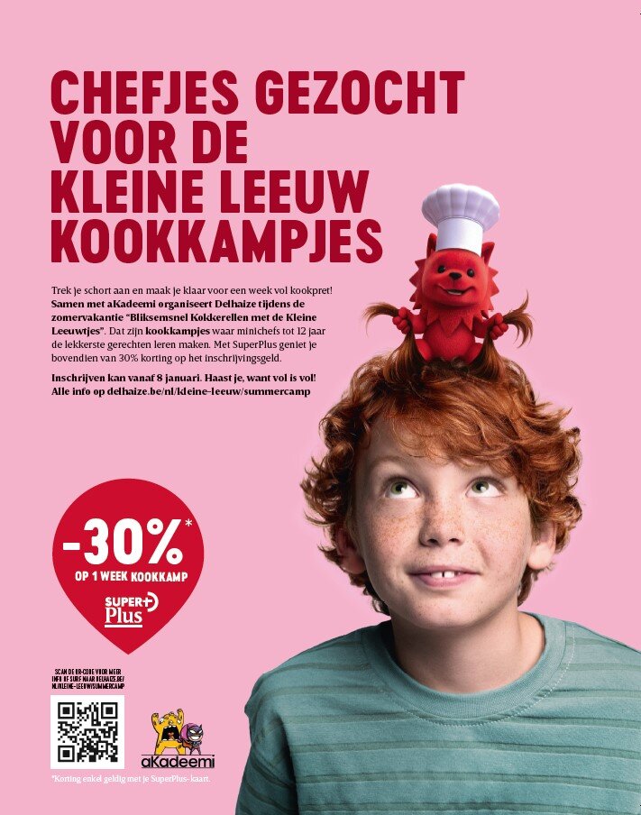 Kleine Leeuw kookkampen